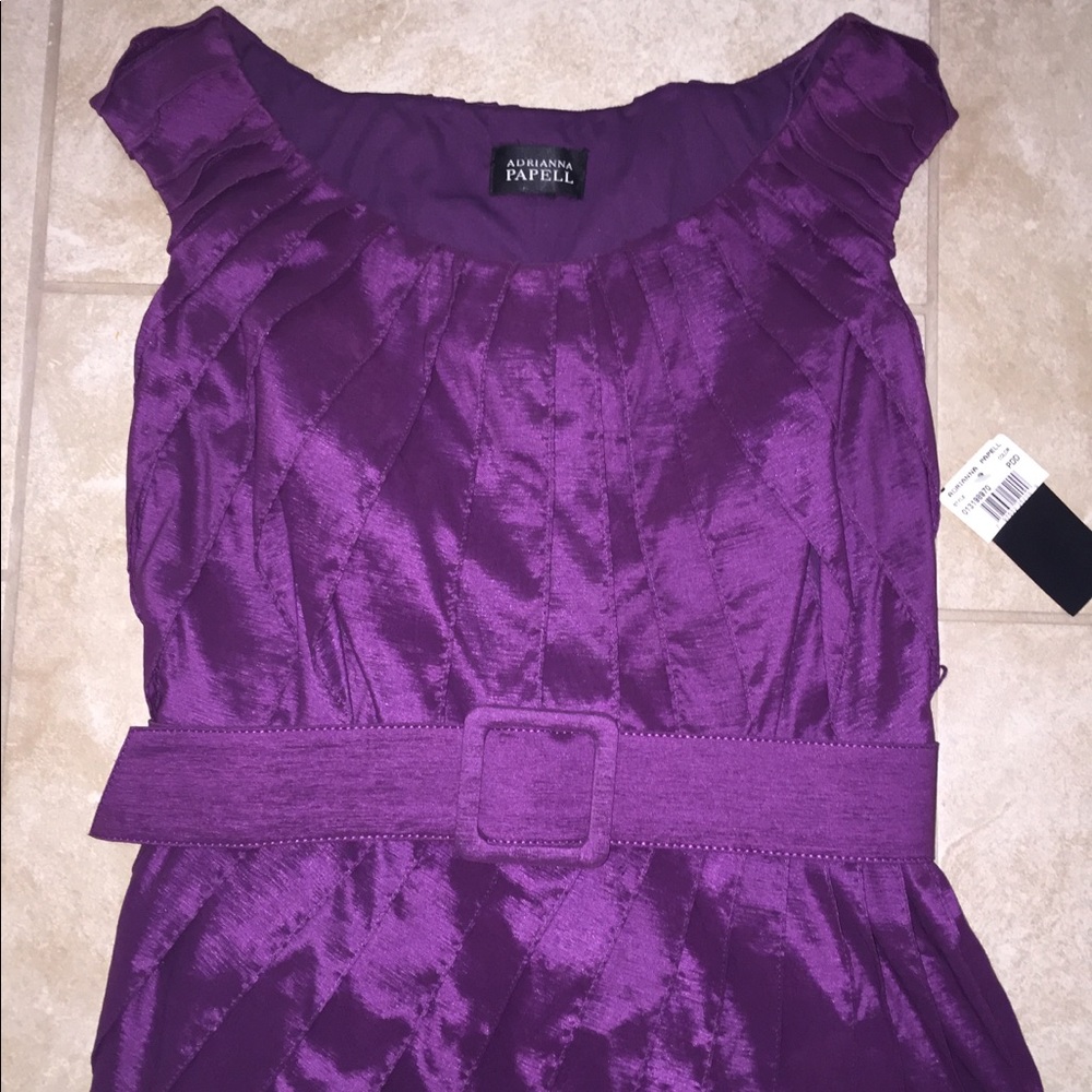 NWT Adrianna Papell Elegant Dress in Size 12 Plum, Wine, Satin, Lined, Belt